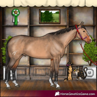 Horse Color:Bay Dun  and Bay Dun 