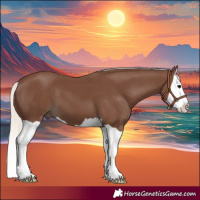 Horse Color:Silver Black Splash 