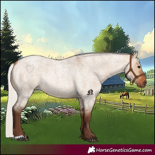 Horse Color:Silver Bay Roan Dun Rabicano 