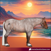 Horse Color:Silver Brown Roan 