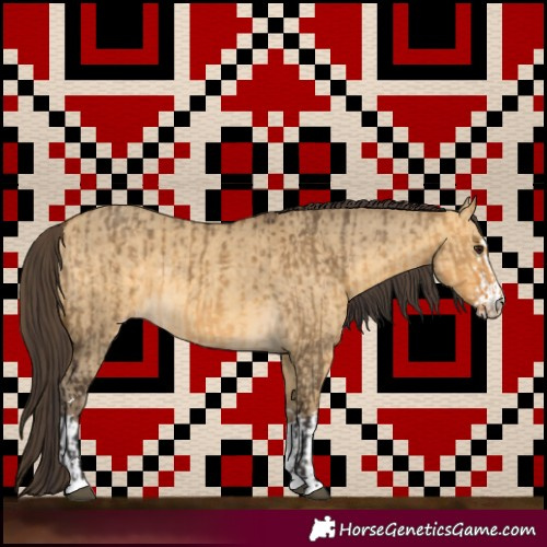 Horse Color:Buckskin Dun  and Sable Cream Champagne Dun 