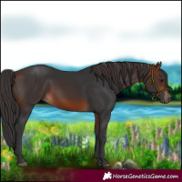 Horse Color:Brown 