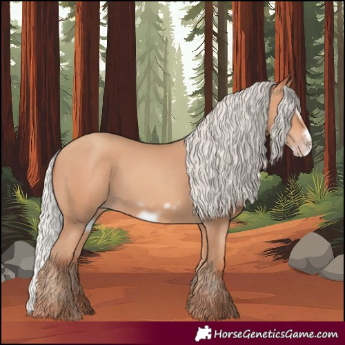Horse Color:Silver Amber Champagne Frame 