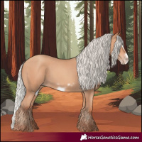 Horse Color:Silver Amber Champagne Frame 