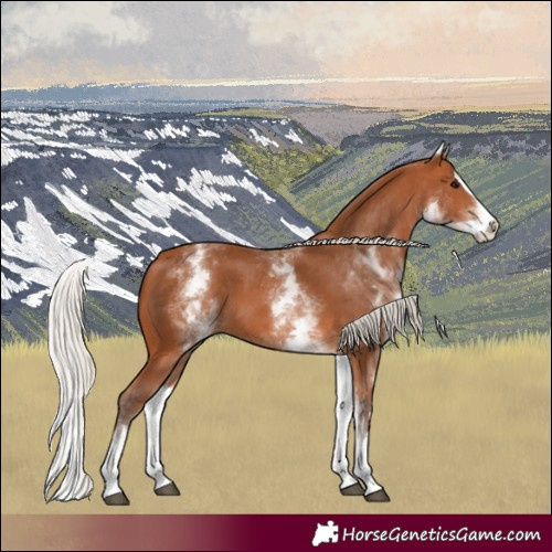 Horse Color:White Spotted Silver Bay Splash 