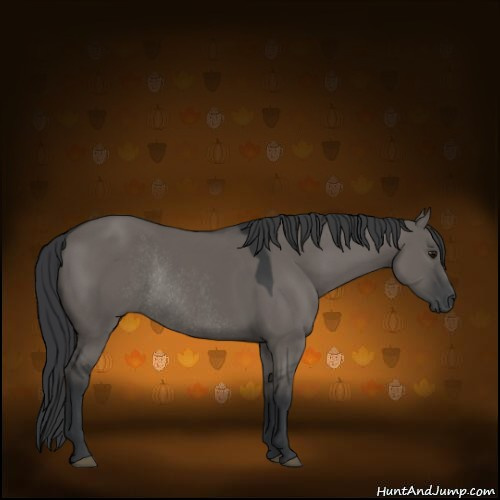 Horse Color:Grullo Rabicano 
