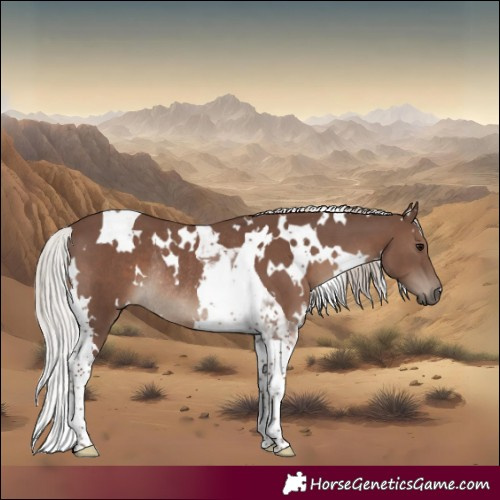 Horse Color:White Spotted Silver Black Tobiano Rabicano