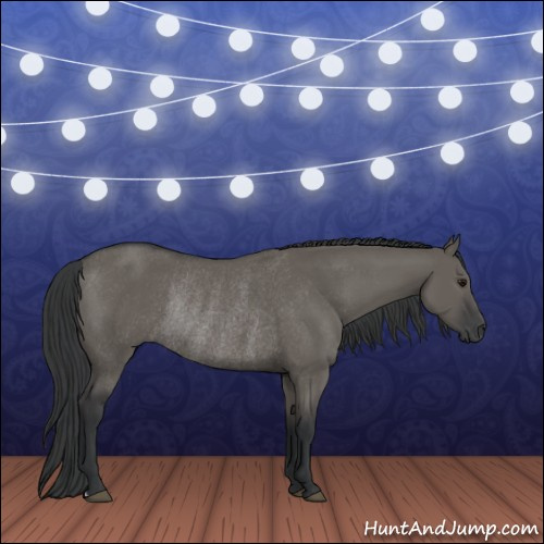 Horse Color:Grullo Rabicano 