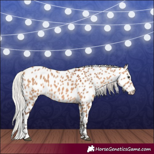 Horse Color:Silver Bay Dun Near Leopard 