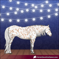 Horse Color:Silver Bay Dun Near Leopard 