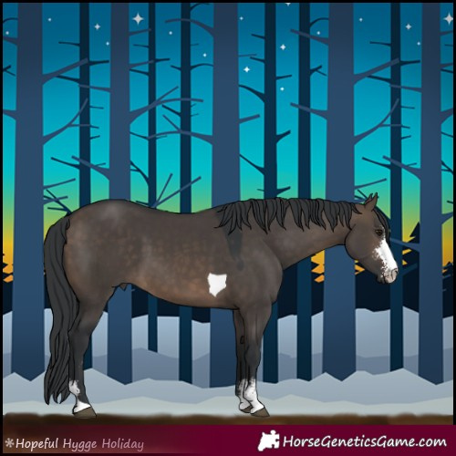 Horse Color:Brown Dun Sabino Tobiano Rabicano 