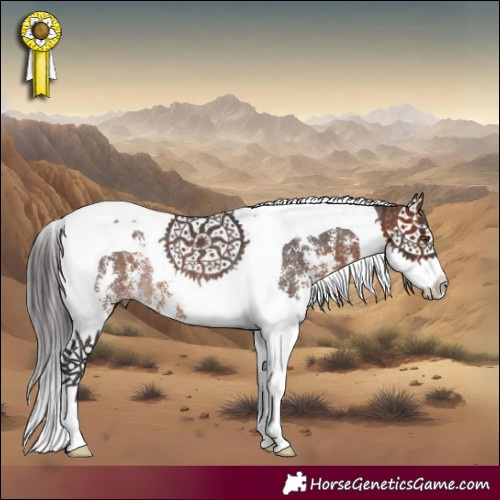Horse Color:Brown Sabino Splash Tobiano Rabicano 