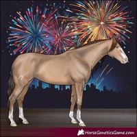 Horse Color:Amber Champagne 