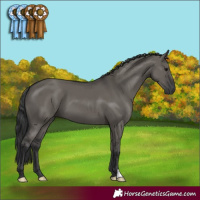 Horse Color:Grullo 