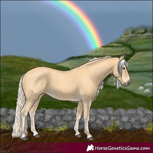 Horse Color:Palomino 