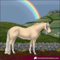 Horse Color:Palomino