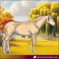 Horse Color:Palomino Dun 