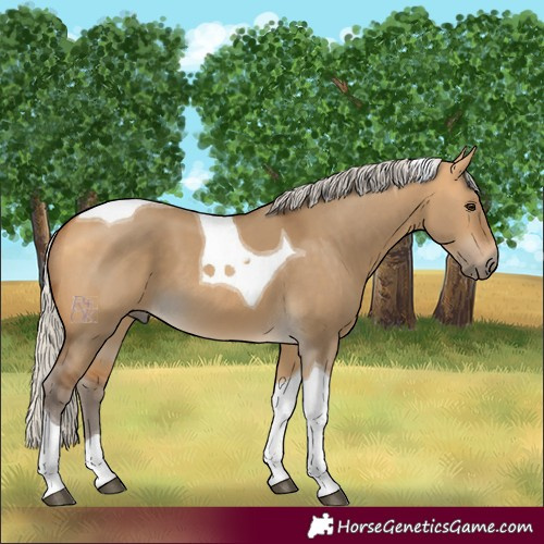 Horse Color:Silver Buckskin Dun Tobiano 