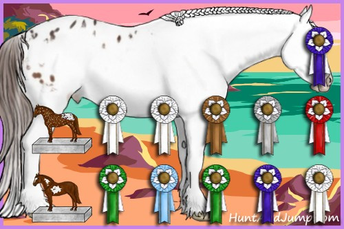 Horse Color:Bay Splash Frame Appaloosa 