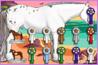 Horse Color:Bay Splash Frame Appaloosa 