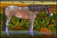 Horse Color:Bay Ice 