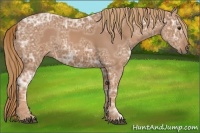 Horse Color:Chestnut Ice 