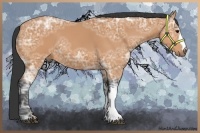 Horse Color:Bay Ice 