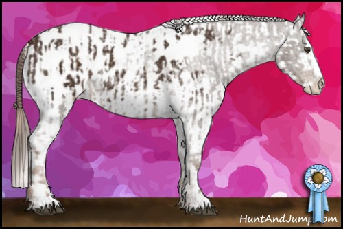 Horse Color:Liver Chestnut Sabino Splash Appaloosa  and Gold Champagne Sabino Splash Appaloosa 
