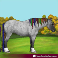 Horse Color:Painted Blue Roan 