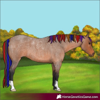 Horse Color:Painted Bay Roan 