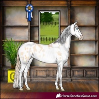 Horse Color:Buckskin Pearl Splash Tobiano Appaloosa