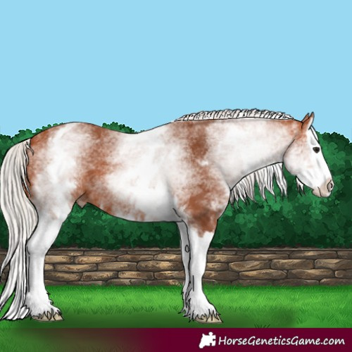 Horse Color:White Spotted Silver Bay Splash 