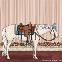 Horse Color:Cremello 