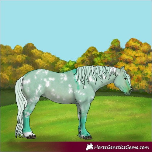 Horse Color:Watercolor White Spotted Silver Brown Dun 