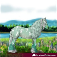 Horse Color:Watercolor White Spotted Silver Brown Dun 