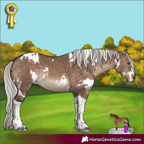 Horse Color:White Spotted Silver Brown Dun Tobiano 