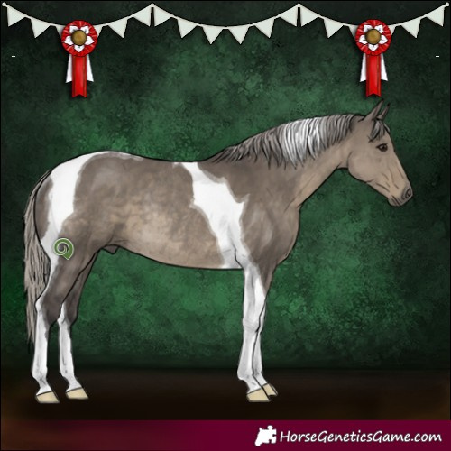 Horse Color:Silver Smoky Grullo Tobiano Rabicano 