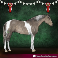 Horse Color:Silver Smoky Grullo Tobiano Rabicano 