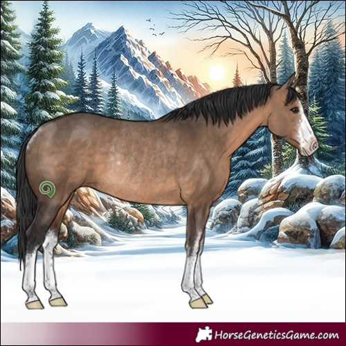 Horse Color:White Spotted Brown Dun Rabicano 
