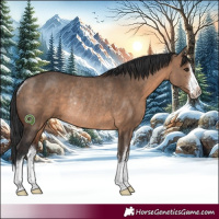 Horse Color:White Spotted Brown Dun Rabicano 