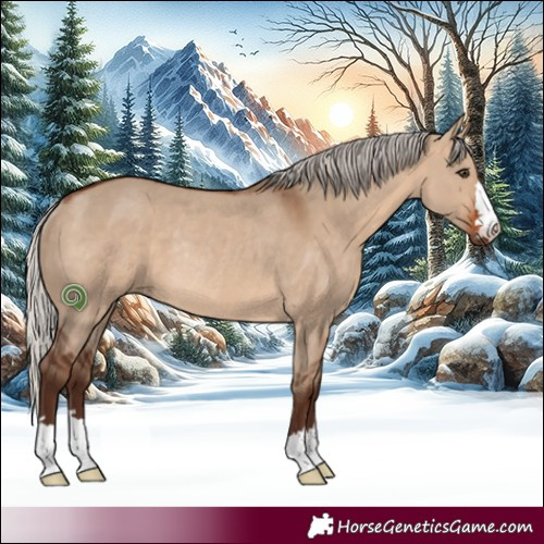Horse Color:Silver Brown Dun Rabicano 