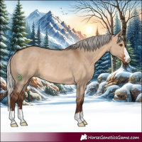 Horse Color:Silver Brown Dun Rabicano 