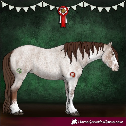 Horse Color:White Spotted Liver Red Dun Roan 