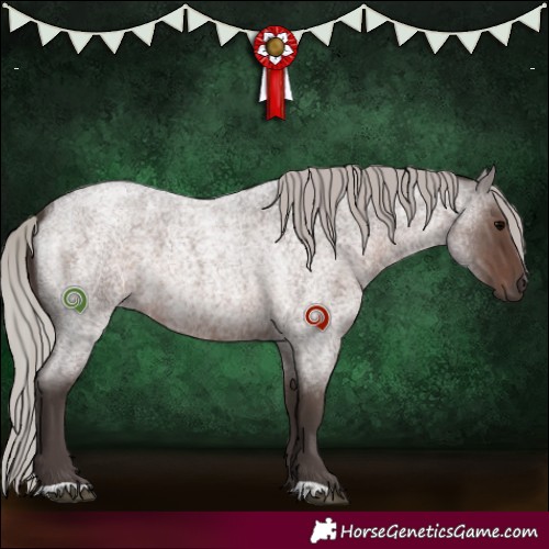 Horse Color:Silver Blue Roan 