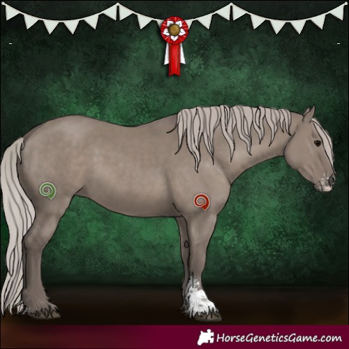 Horse Color:Silver Grullo Sabino Rabicano 