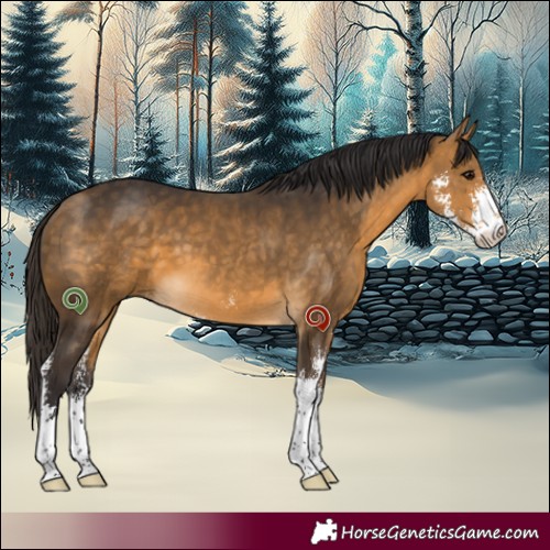 Horse Color:Buckskin Sabino 