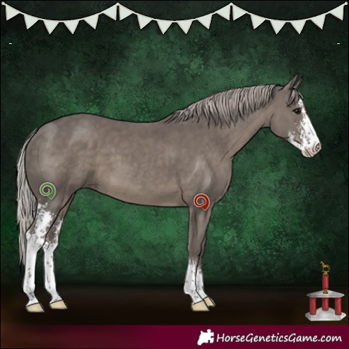 Horse Color:Silver Black Sabino 
