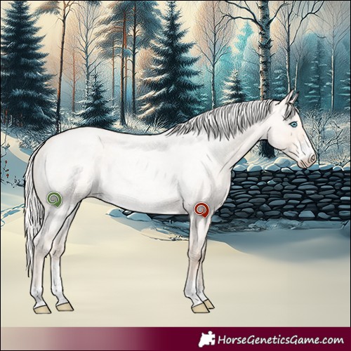 Horse Color:Silver Smoky Creme Roan Dun Sabino 