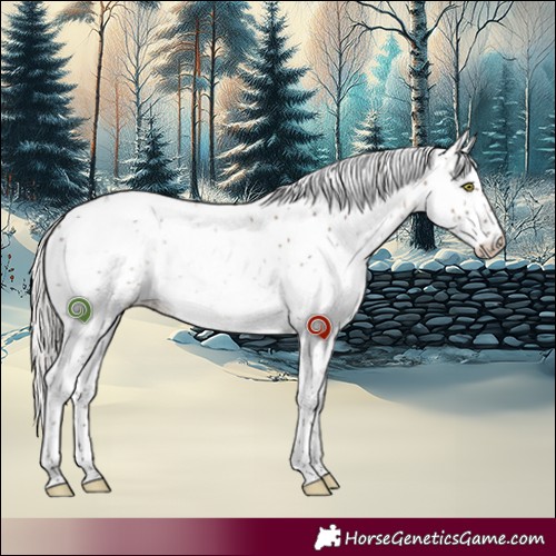 Horse Color:Silver Grullo Sabino 