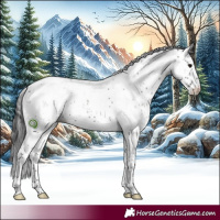 Horse Color:Grullo Sabino 